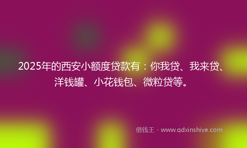 2025年的西安小额度贷款有：你我贷、我来贷、洋钱罐、小花钱包、微粒贷等。