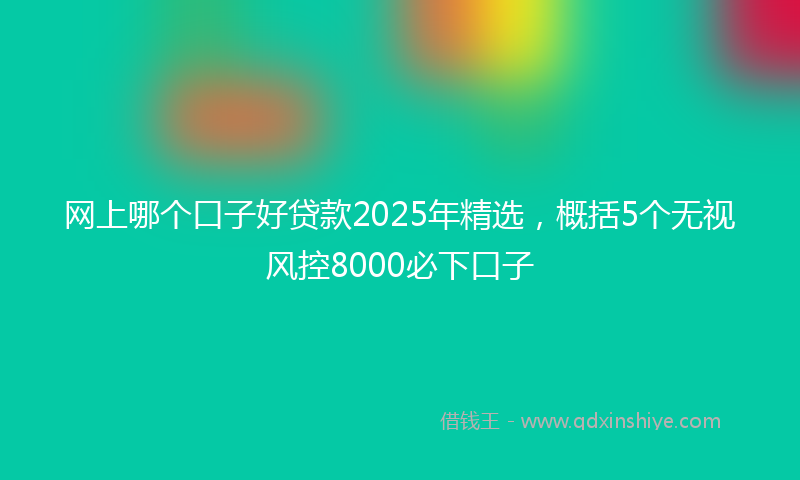 网上哪个口子好贷款2025年精选，概括5个无视风控8000必下口子