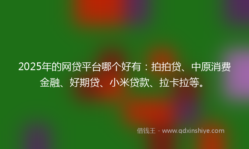 2025年的网贷平台哪个好有：拍拍贷、中原消费金融、好期贷、小米贷款、拉卡拉等。