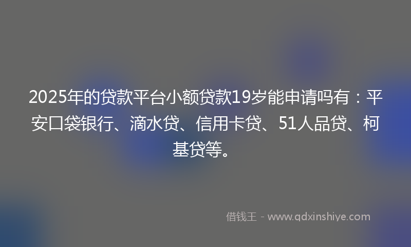 2025年的贷款平台小额贷款19岁能申请吗有：平安口袋银行、滴水贷、信用卡贷、51人品贷、柯基贷等。