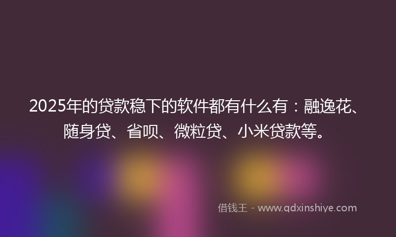 2025年的贷款稳下的软件都有什么有：融逸花、随身贷、省呗、微粒贷、小米贷款等。