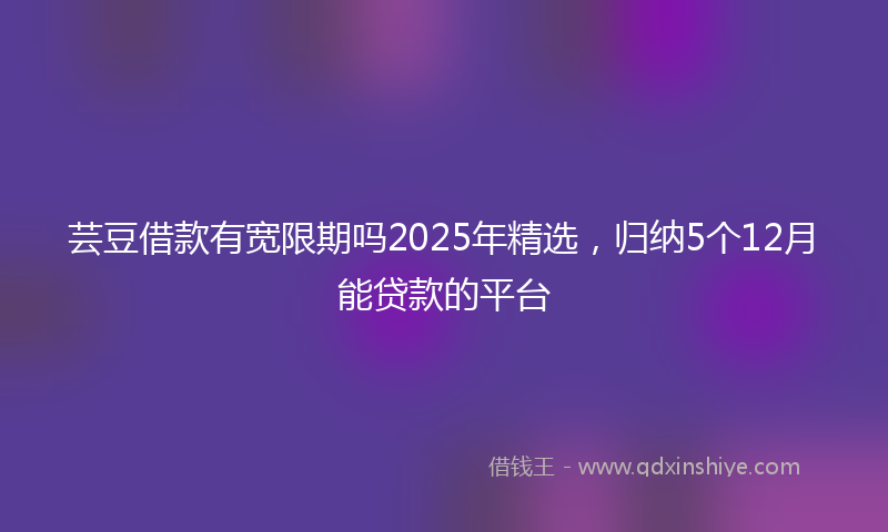 芸豆借款有宽限期吗2025年精选，归纳5个12月能贷款的平台