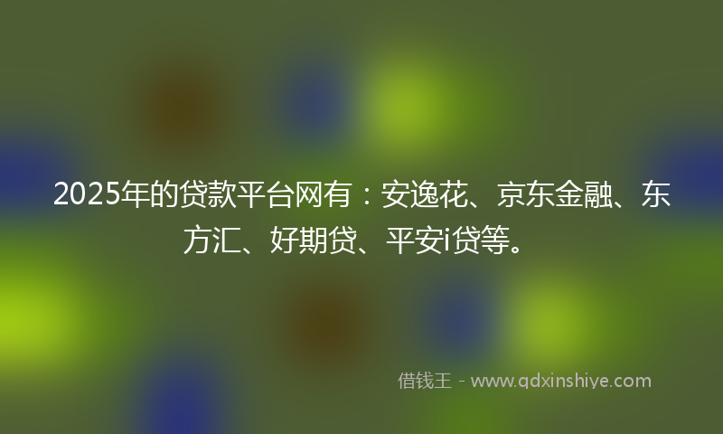 2025年的贷款平台网有：安逸花、京东金融、东方汇、好期贷、平安i贷等。