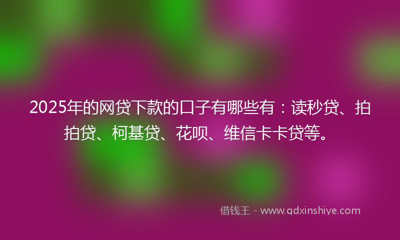 2025年的网贷下款的口子有哪些有：读秒贷、拍拍贷、柯基贷、花呗、维信卡卡贷等。