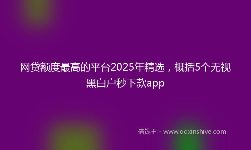 网贷额度最高的平台2025年精选，概括5个无视黑白户秒下款app