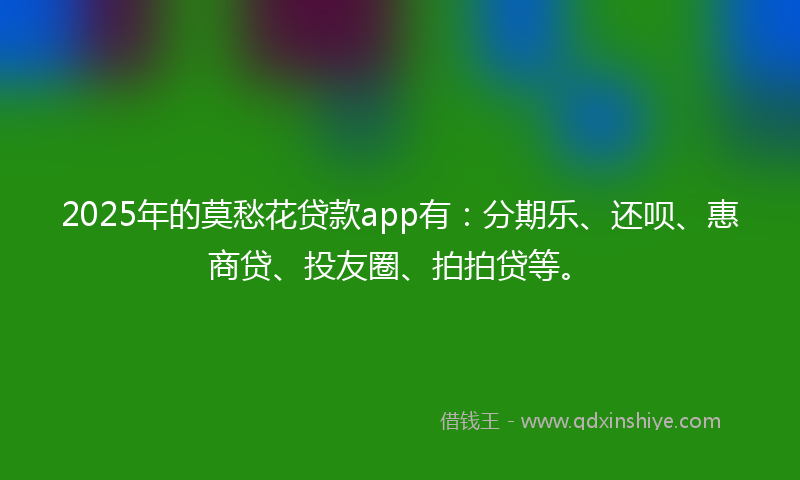 2025年的莫愁花贷款app有：分期乐、还呗、惠商贷、投友圈、拍拍贷等。