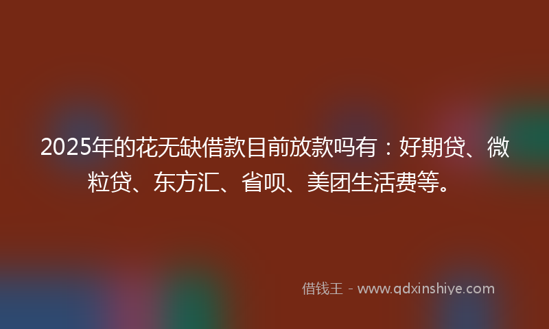 2025年的花无缺借款目前放款吗有：好期贷、微粒贷、东方汇、省呗、美团生活费等。