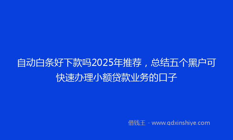 自动白条好下款吗2025年推荐，总结五个黑户可快速办理小额贷款业务的口子