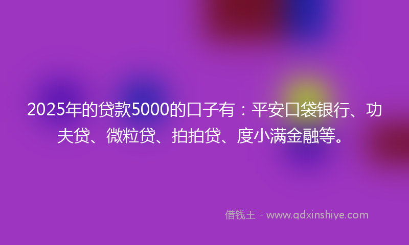 2025年的贷款5000的口子有：平安口袋银行、功夫贷、微粒贷、拍拍贷、度小满金融等。