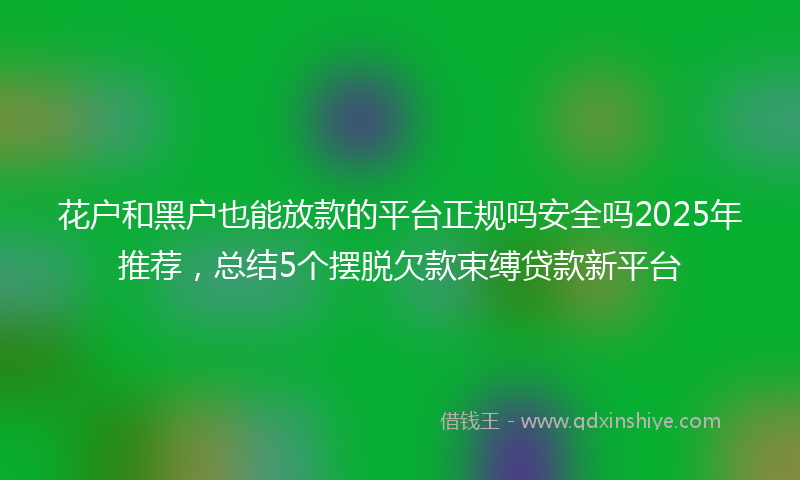 花户和黑户也能放款的平台正规吗安全吗2025年推荐，总结5个摆脱欠款束缚贷款新平台