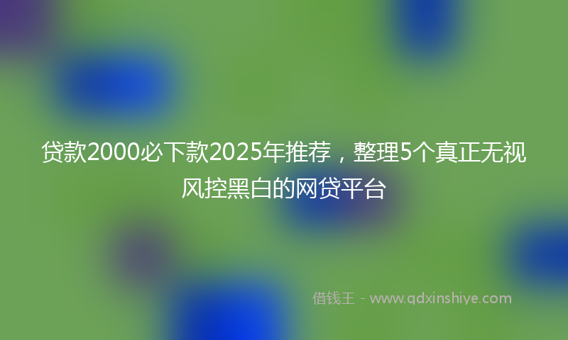 贷款2000必下款2025年推荐，整理5个真正无视风控黑白的网贷平台