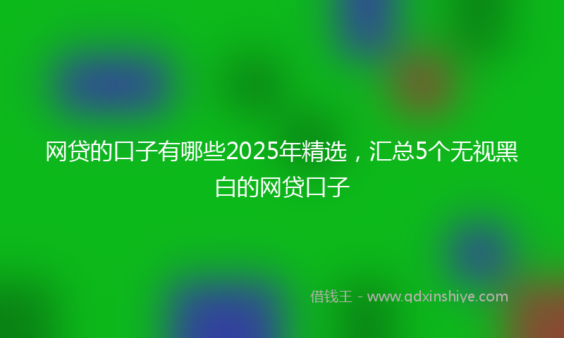 网贷的口子有哪些2025年精选，汇总5个无视黑白的网贷口子