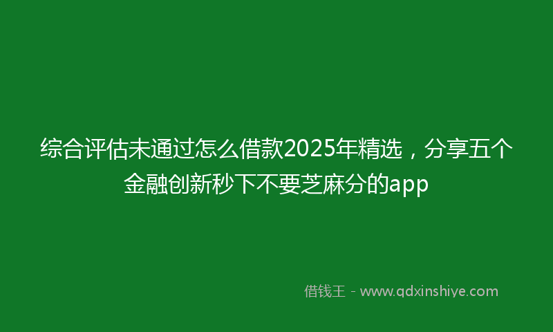 综合评估未通过怎么借款2025年精选，分享五个金融创新秒下不要芝麻分的app