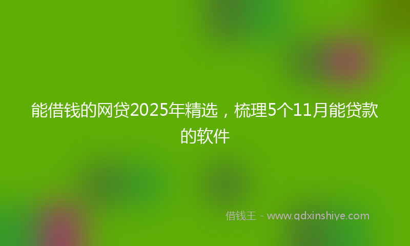 能借钱的网贷2025年精选，梳理5个11月能贷款的软件