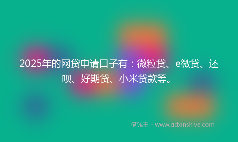 2025年的网贷申请口子有：微粒贷、e微贷、还呗、好期贷、小米贷款等。