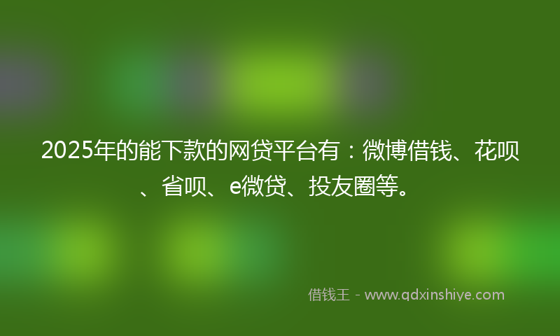 2025年的能下款的网贷平台有：微博借钱、花呗、省呗、e微贷、投友圈等。