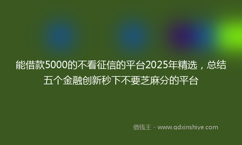 能借款5000的不看征信的平台2025年精选，总结五个金融创新秒下不要芝麻分的平台