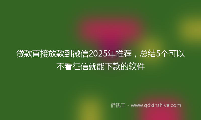 贷款直接放款到微信2025年推荐，总结5个可以不看征信就能下款的软件