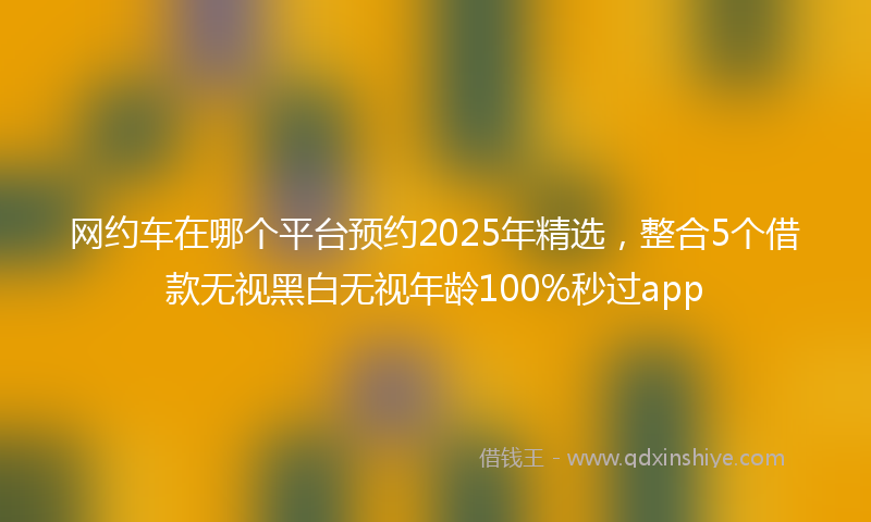网约车在哪个平台预约2025年精选，整合5个借款无视黑白无视年龄100%秒过app