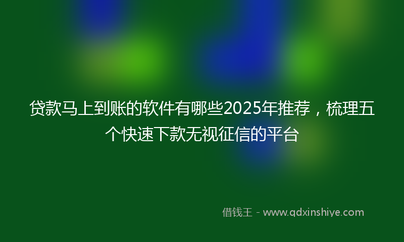 贷款马上到账的软件有哪些2025年推荐，梳理五个快速下款无视征信的平台