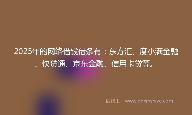 2025年的网络借钱借条有：东方汇、度小满金融、快贷通、京东金融、信用卡贷等。