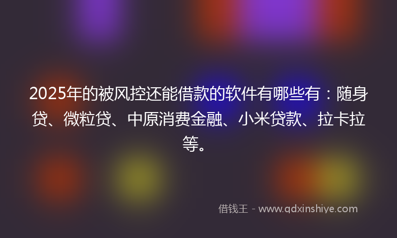 2025年的被风控还能借款的软件有哪些有：随身贷、微粒贷、中原消费金融、小米贷款、拉卡拉等。
