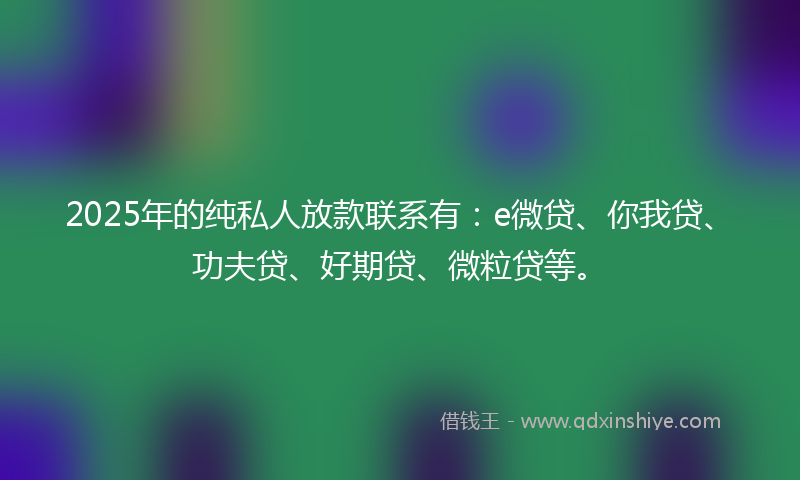 2025年的纯私人放款联系有：e微贷、你我贷、功夫贷、好期贷、微粒贷等。