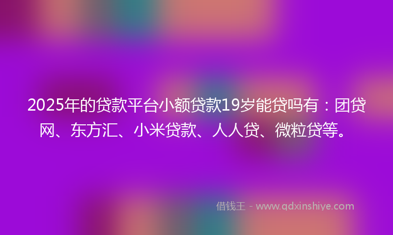 2025年的贷款平台小额贷款19岁能贷吗有：团贷网、东方汇、小米贷款、人人贷、微粒贷等。
