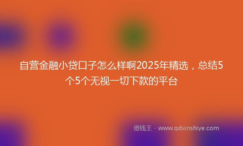 自营金融小贷口子怎么样啊2025年精选，总结5个5个无视一切下款的平台
