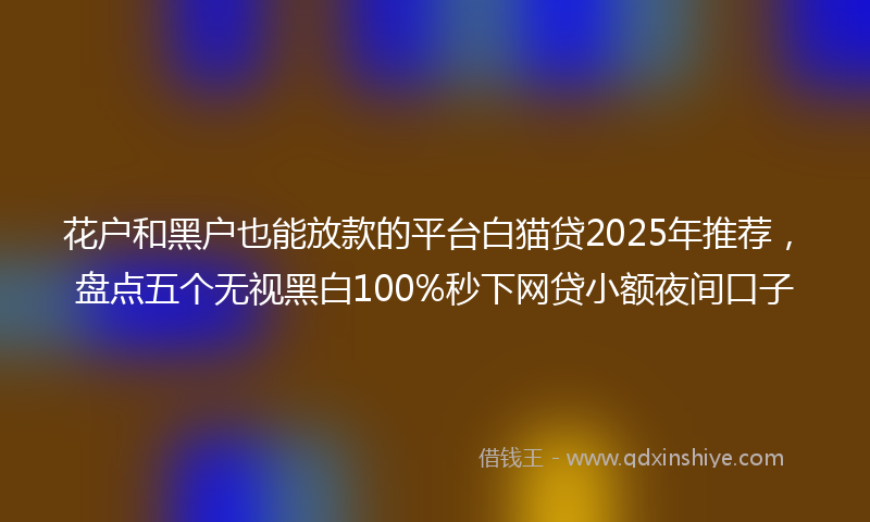 花户和黑户也能放款的平台白猫贷2025年推荐，盘点五个无视黑白100%秒下网贷小额夜间口子