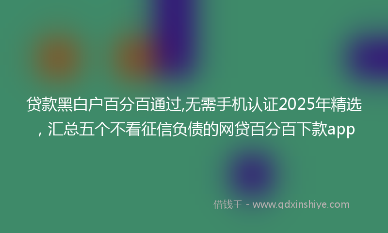 贷款黑白户百分百通过,无需手机认证2025年精选，汇总五个不看征信负债的网贷百分百下款app