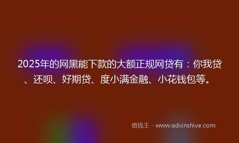 2025年的网黑能下款的大额正规网贷有：你我贷、还呗、好期贷、度小满金融、小花钱包等。