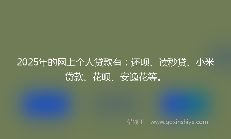 2025年的网上个人贷款有：还呗、读秒贷、小米贷款、花呗、安逸花等。