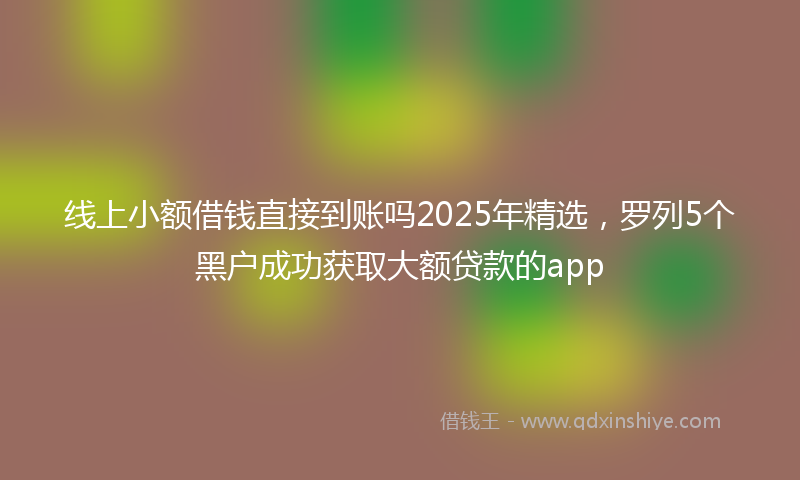 线上小额借钱直接到账吗2025年精选，罗列5个黑户成功获取大额贷款的app