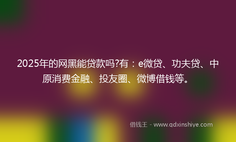 2025年的网黑能贷款吗?有：e微贷、功夫贷、中原消费金融、投友圈、微博借钱等。