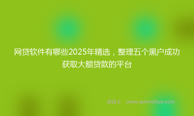网贷软件有哪些2025年精选，整理五个黑户成功获取大额贷款的平台