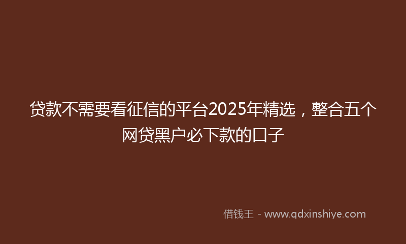 贷款不需要看征信的平台2025年精选，整合五个网贷黑户必下款的口子