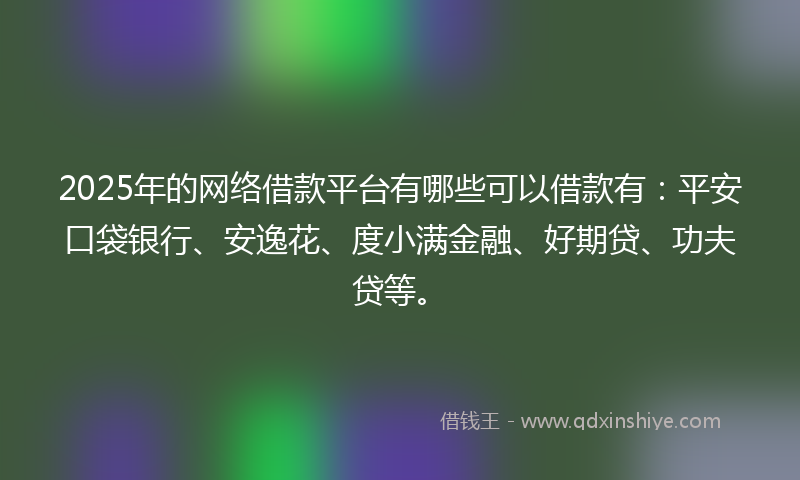 2025年的网络借款平台有哪些可以借款有：平安口袋银行、安逸花、度小满金融、好期贷、功夫贷等。