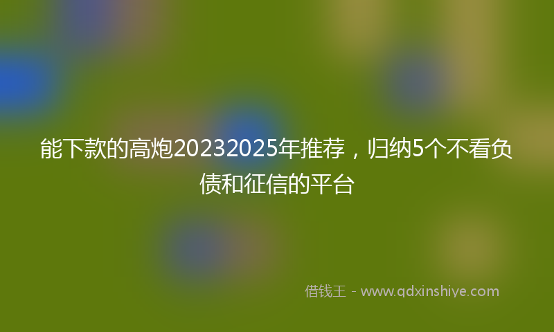 能下款的高炮20232025年推荐，归纳5个不看负债和征信的平台
