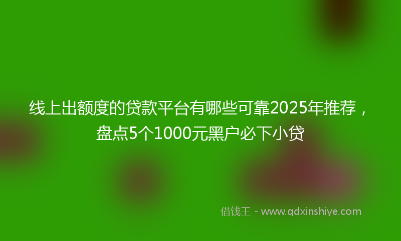 线上出额度的贷款平台有哪些可靠2025年推荐，盘点5个1000元黑户必下小贷