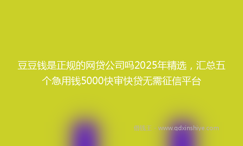 豆豆钱是正规的网贷公司吗2025年精选，汇总五个急用钱5000快审快贷无需征信平台