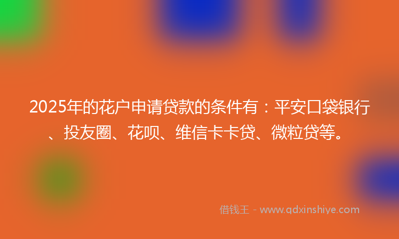 2025年的花户申请贷款的条件有：平安口袋银行、投友圈、花呗、维信卡卡贷、微粒贷等。
