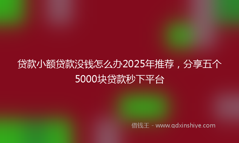 贷款小额贷款没钱怎么办2025年推荐，分享五个5000块贷款秒下平台