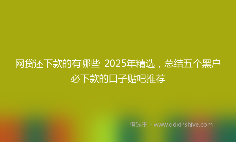 网贷还下款的有哪些_2025年精选，总结五个黑户必下款的口子贴吧推荐