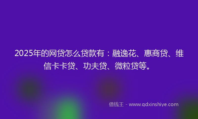 2025年的网贷怎么贷款有：融逸花、惠商贷、维信卡卡贷、功夫贷、微粒贷等。