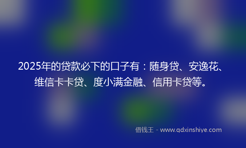 2025年的贷款必下的口子有：随身贷、安逸花、维信卡卡贷、度小满金融、信用卡贷等。