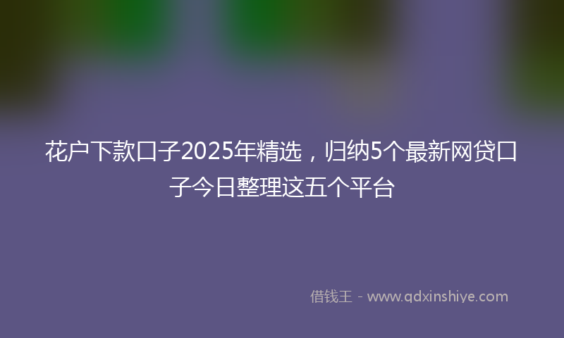 花户下款口子2025年精选，归纳5个最新网贷口子今日整理这五个平台