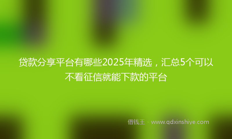 贷款分享平台有哪些2025年精选，汇总5个可以不看征信就能下款的平台