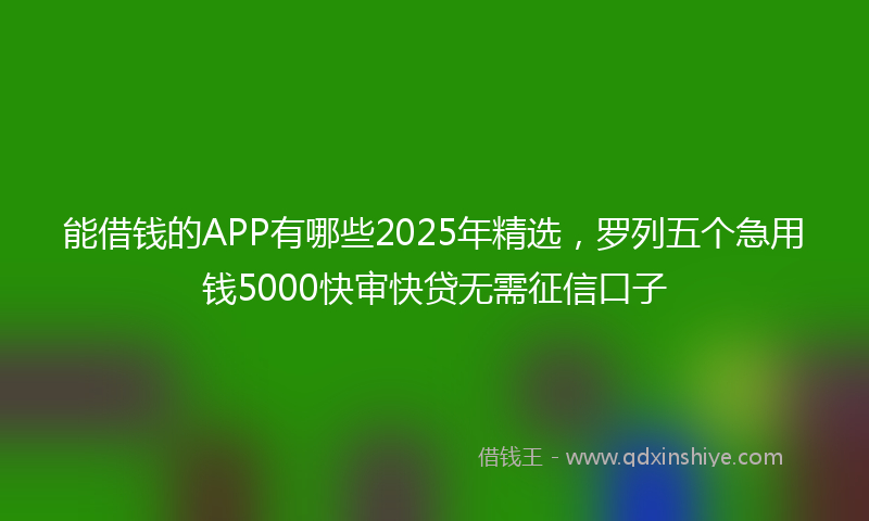 能借钱的APP有哪些2025年精选，罗列五个急用钱5000快审快贷无需征信口子