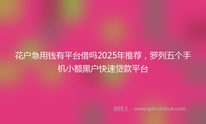 花户急用钱有平台借吗2025年推荐，罗列五个手机小额黑户快速贷款平台